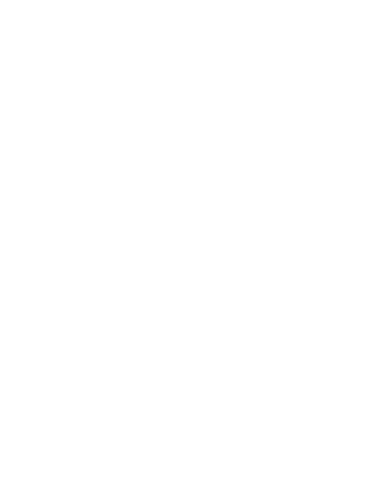 Team sejr
